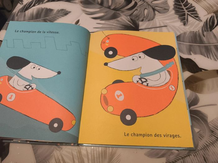 Album sam le Champion - photo numéro 4