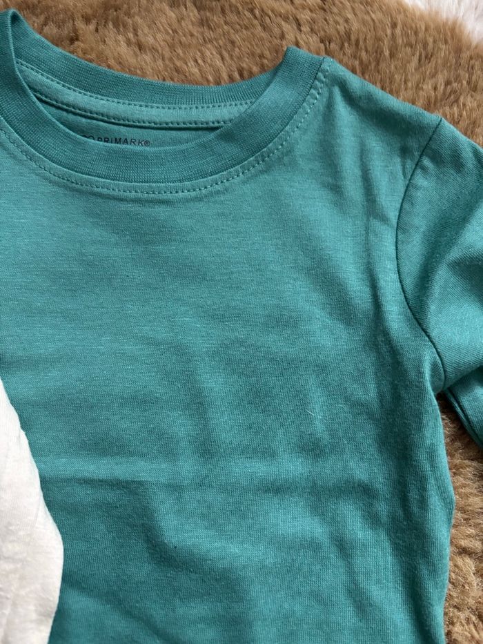 Lot tee shirt beige/vert dinosaure Primark t.9-12m - photo numéro 3