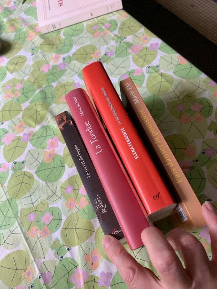 Lot romans - photo numéro 11