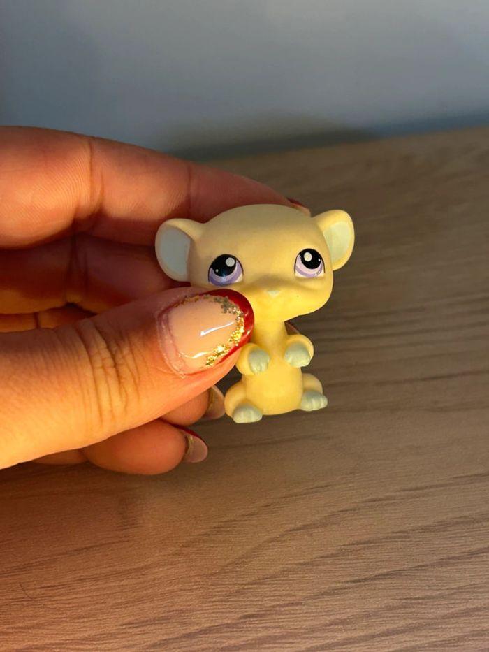 Ourson Littlest pet shop