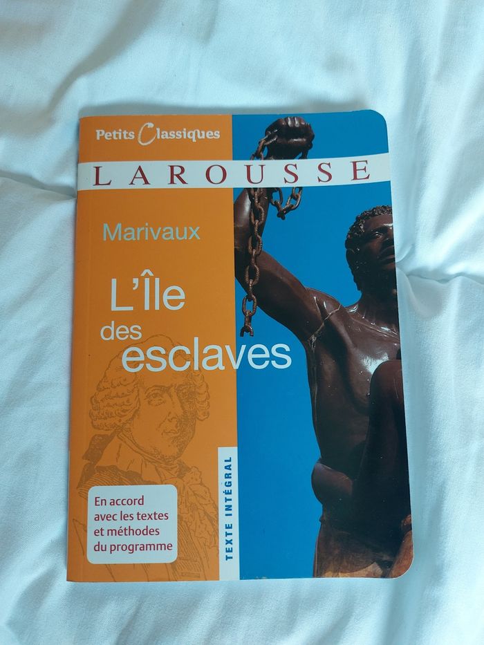 Livre titre L'île des L'esclave