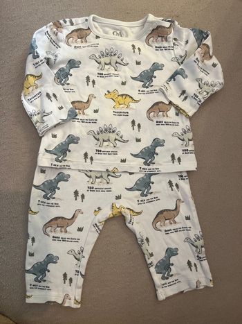 Ensemble dinosaures 3-6 mois