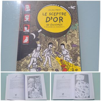 Actes sud junior 🔎 Le Sceptre d'or 🔍 60 énigmes 