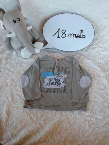 Tee shirt manches longues Garçon 18 mois 3 pommes 100% coton