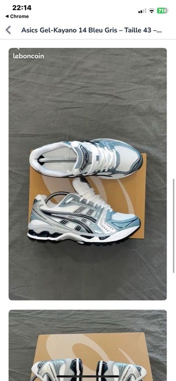 Asics kayano 14