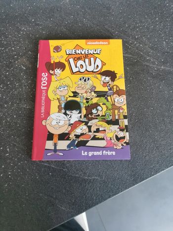 Livre bibliothèque rose Bienvenue chez les Louds tome 3 le grand frère