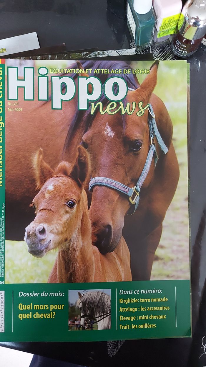 Lot Hippo News - photo numéro 5