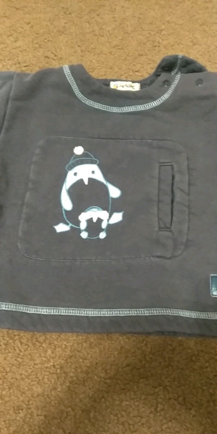 lot 2 joli pulls - photo numéro 3