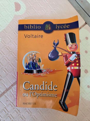 Candide ou l’optimisme