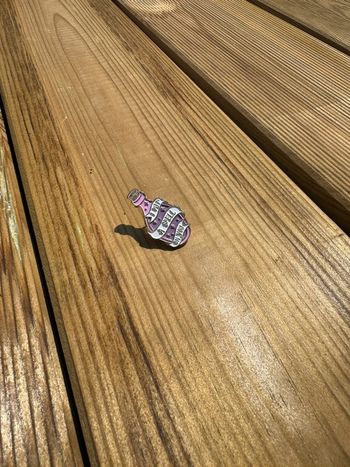 Pins fiole Harry Potter