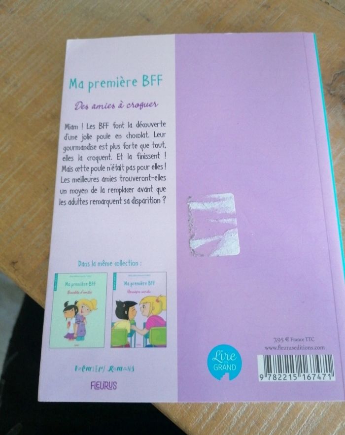 Ma première BBF - photo numéro 2