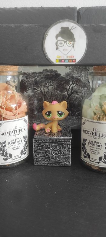 My Littlest Petshop Pet Shop LPS Authentic  Authentique cat Chat Tabby 552