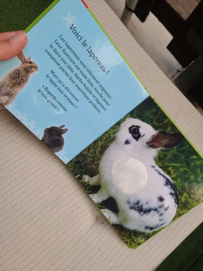 Livre à toucher - photo numéro 3