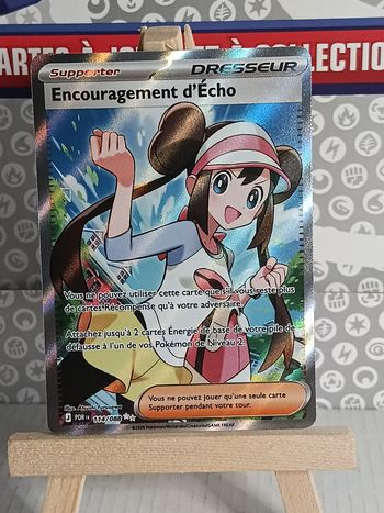 Carte pokémon Encouragement d'écho 
