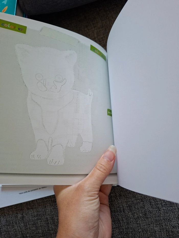 Livres pour enfant en anglais et français Le chat guerisseur - photo numéro 8