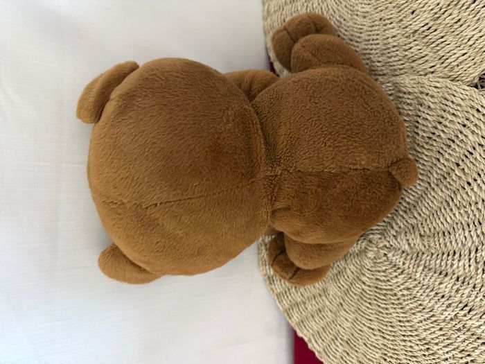 doudou ours medaille friend - photo numéro 5