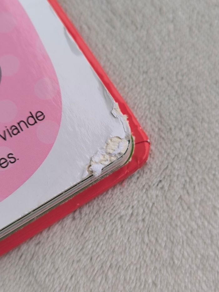 Livre Les animaux de compagnie Auzou - photo numéro 8