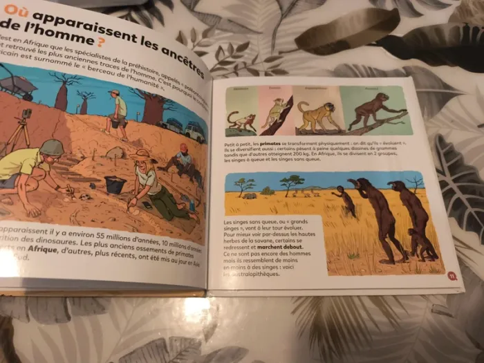 Album mes p'tites questions la préhistoire - photo numéro 4