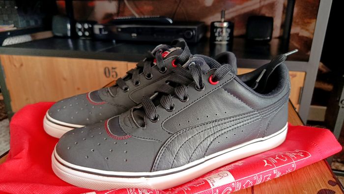 Puma noires