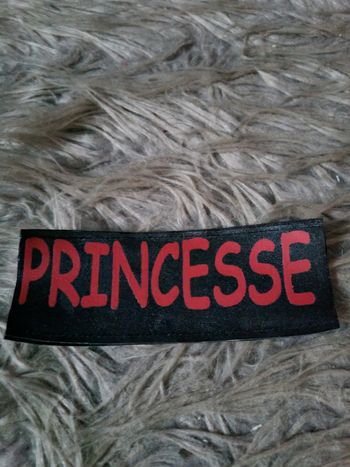 étiquette velcro pour harnais (Princesse) 🐶