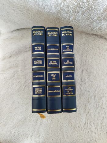 Lot meilleurs livres condensés bleus