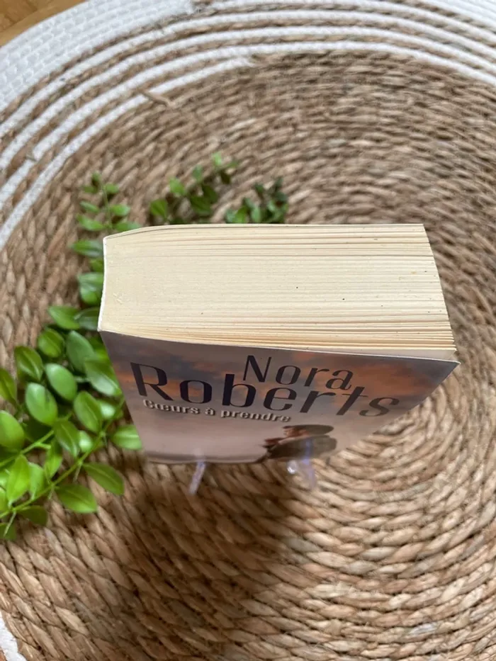 Livre - Cœurs à prendre - photo numéro 2