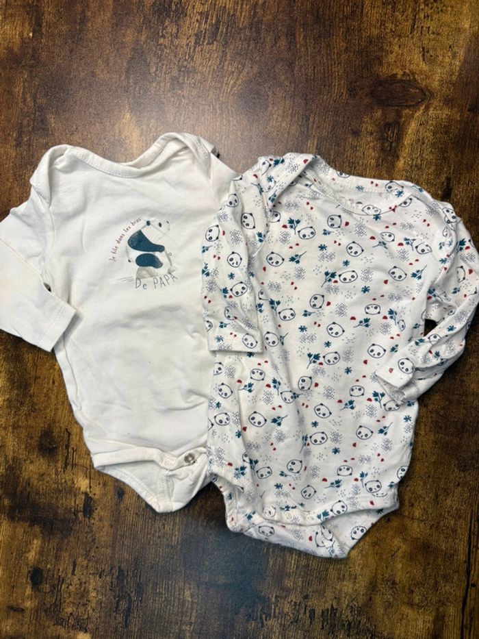 Lot 2 bodies panda