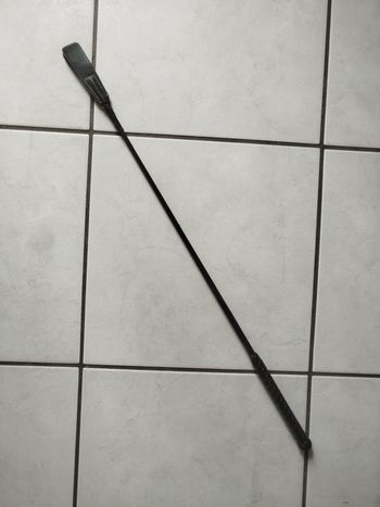 cravache pour équitation