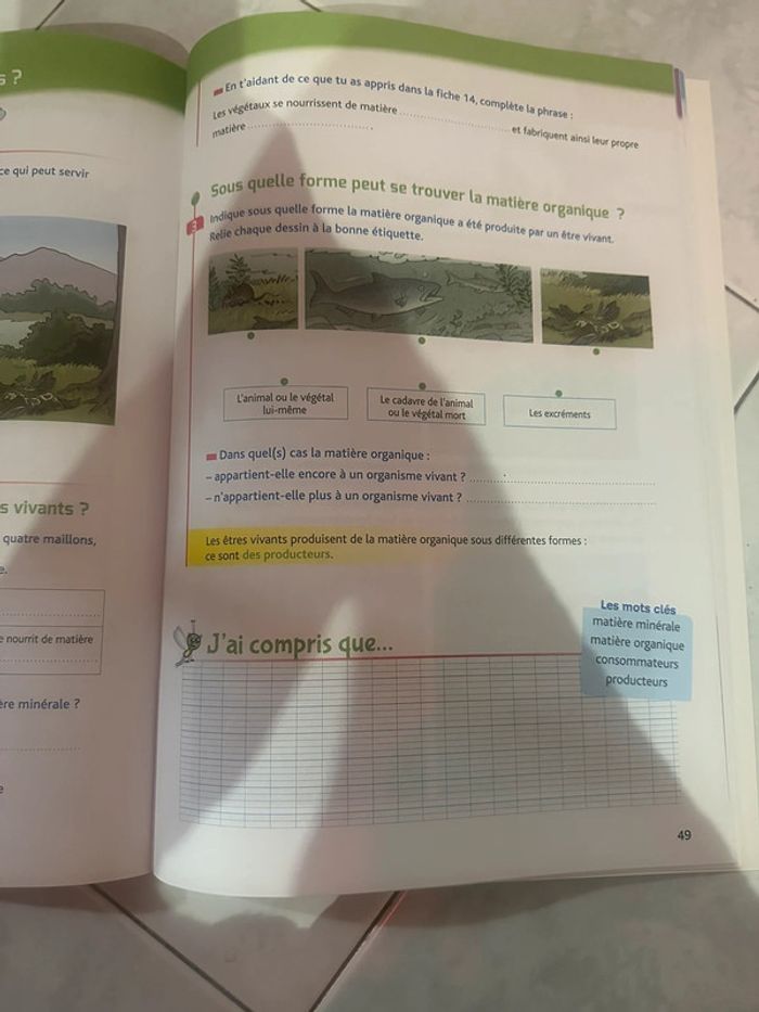 Les cahiers de la luciole au cycle 3 sciences et technologie - photo numéro 4