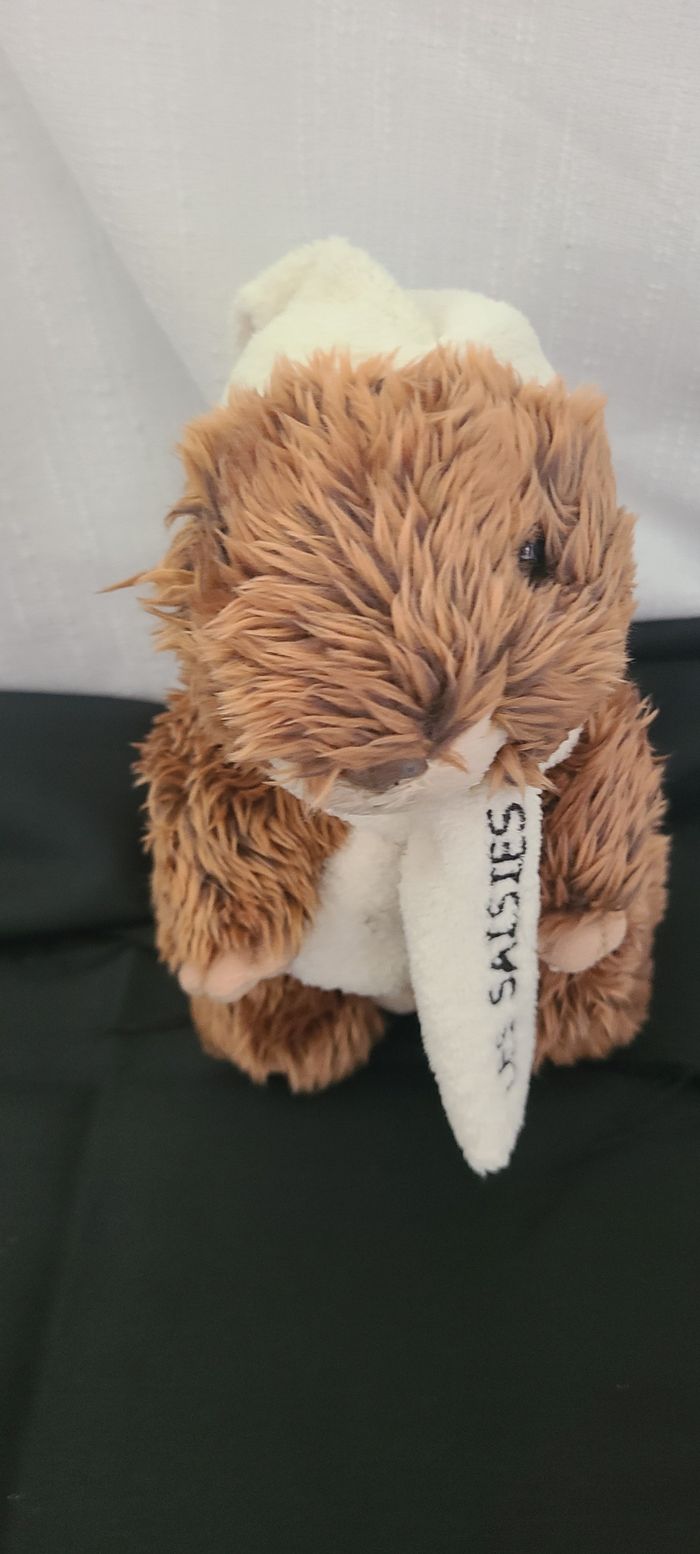 Peluche doudou castor brun marron écharpe