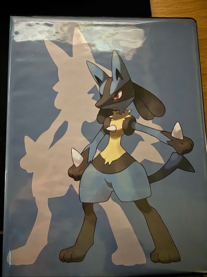 Classeur et carte pokemon de tout type