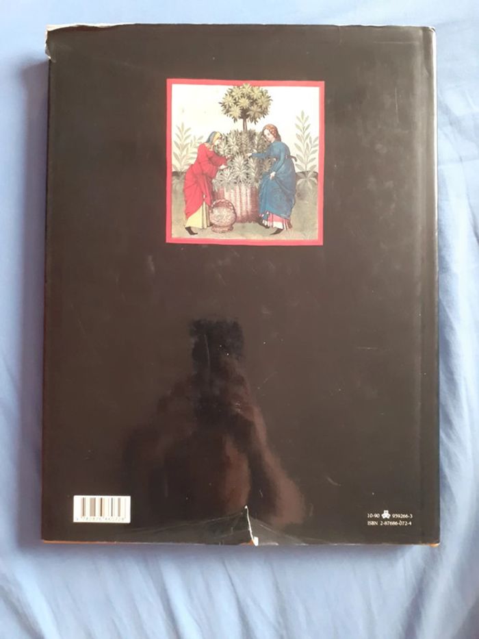 La Rose et la Mandragore - Jeanne Bourin - photo numéro 2