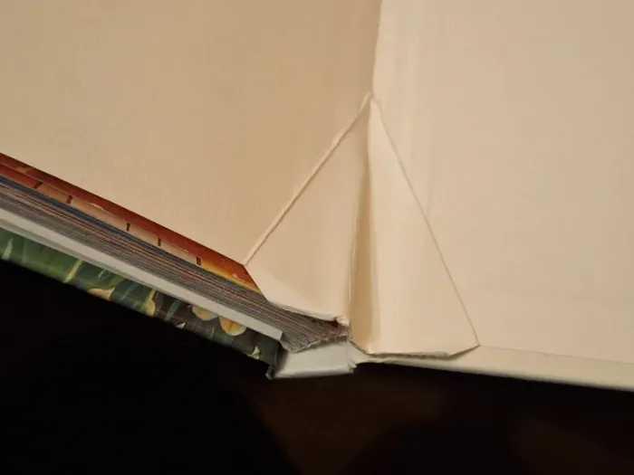 hercule - photo numéro 3