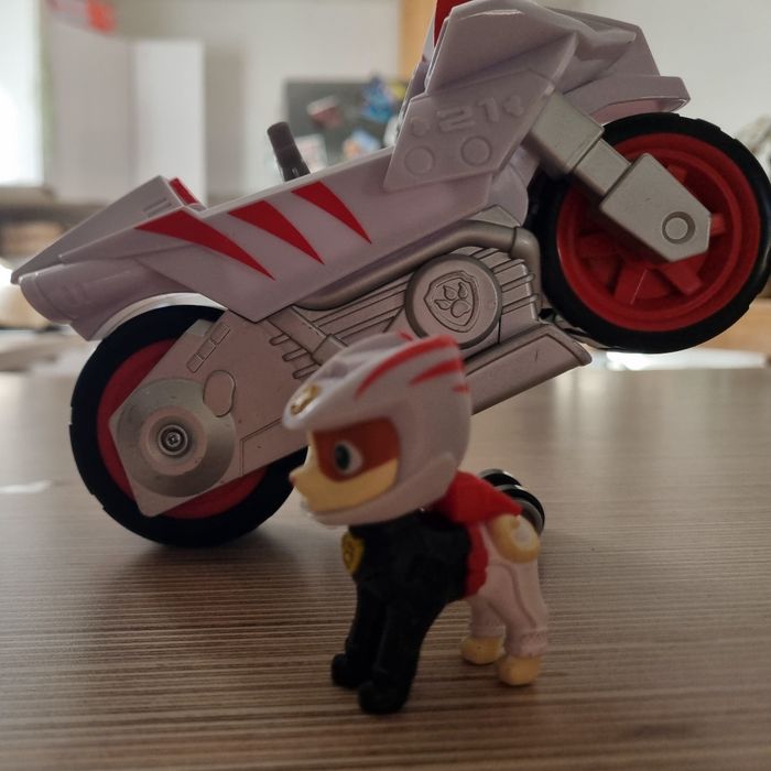 Chascadeur patpatrouille - photo numéro 9