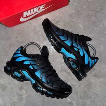 Nike Tn noir bleu 46