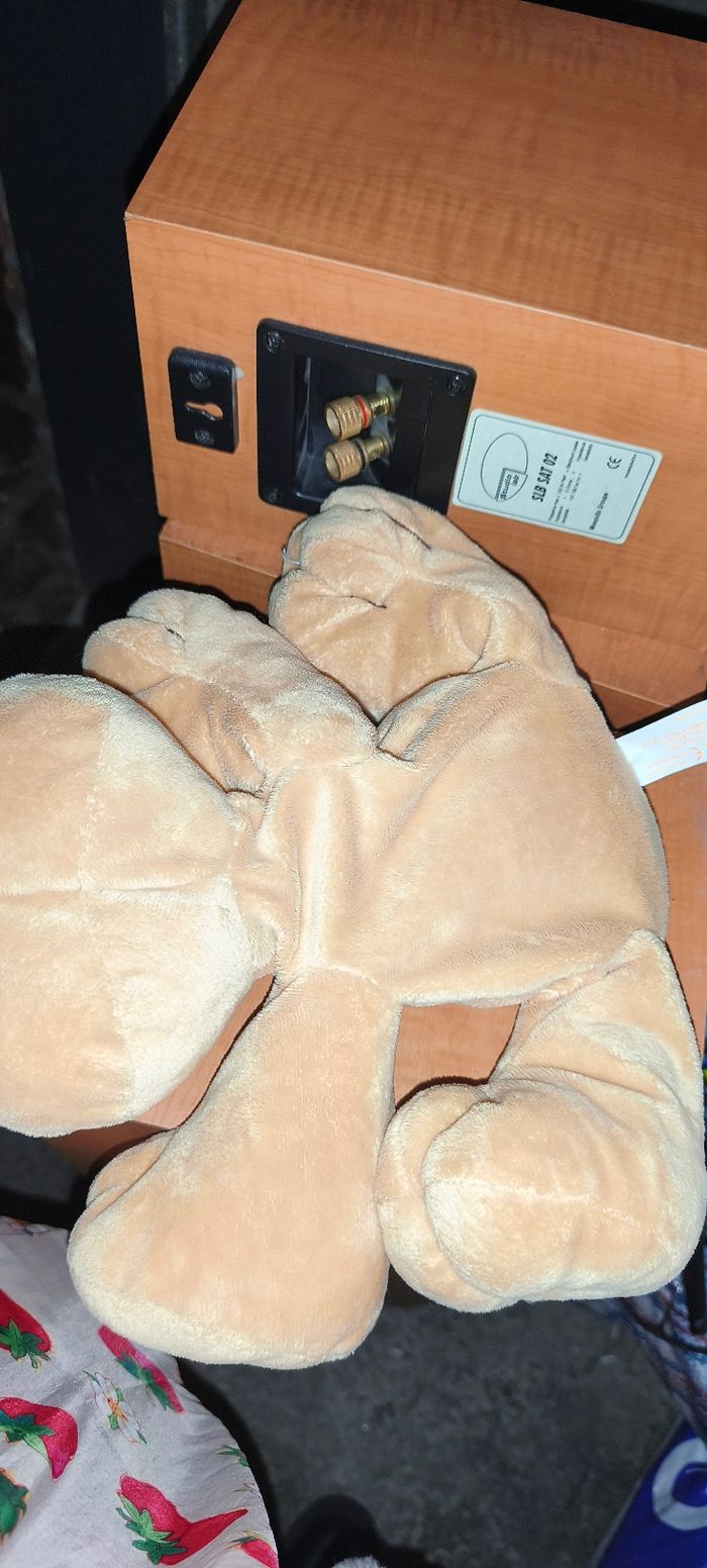 Teddy Bear - photo numéro 3