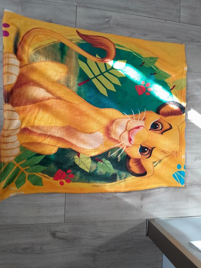 Plaide Simba - photo numéro 2