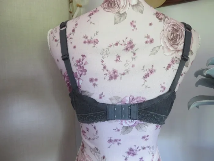 soutien gorge - photo numéro 3
