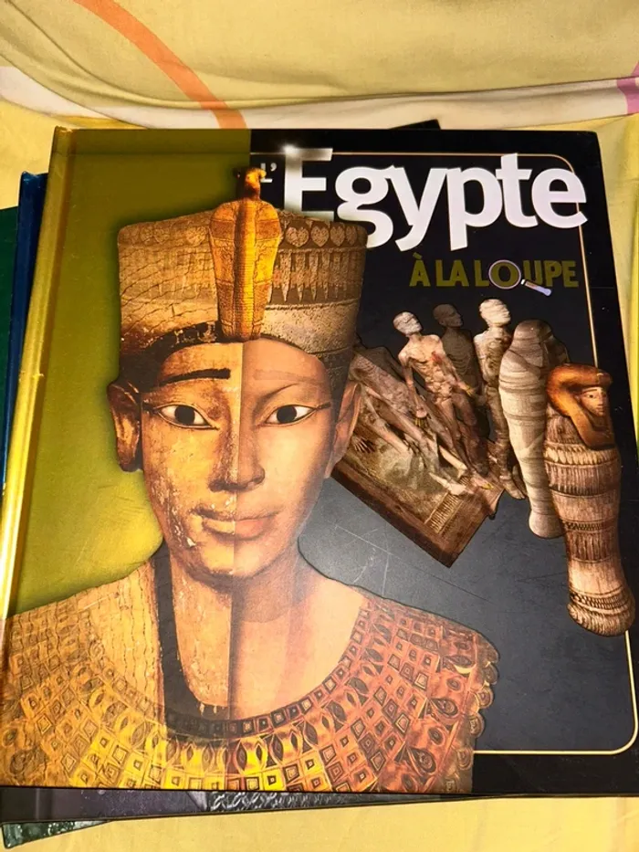 Lot livres À la loupe - photo numéro 4