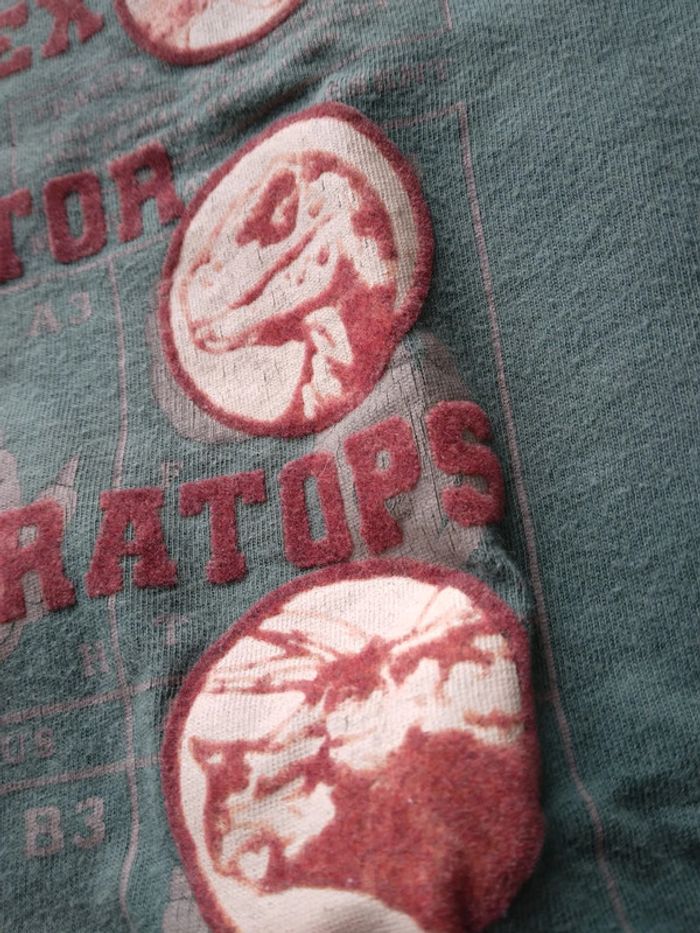 🌸Tee-shirt imprimer Dinosaure 10ans a 1€🌸 - photo numéro 3