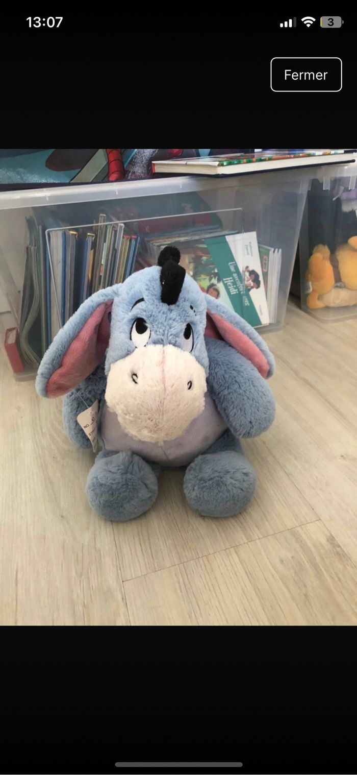 Bourriquet winnie