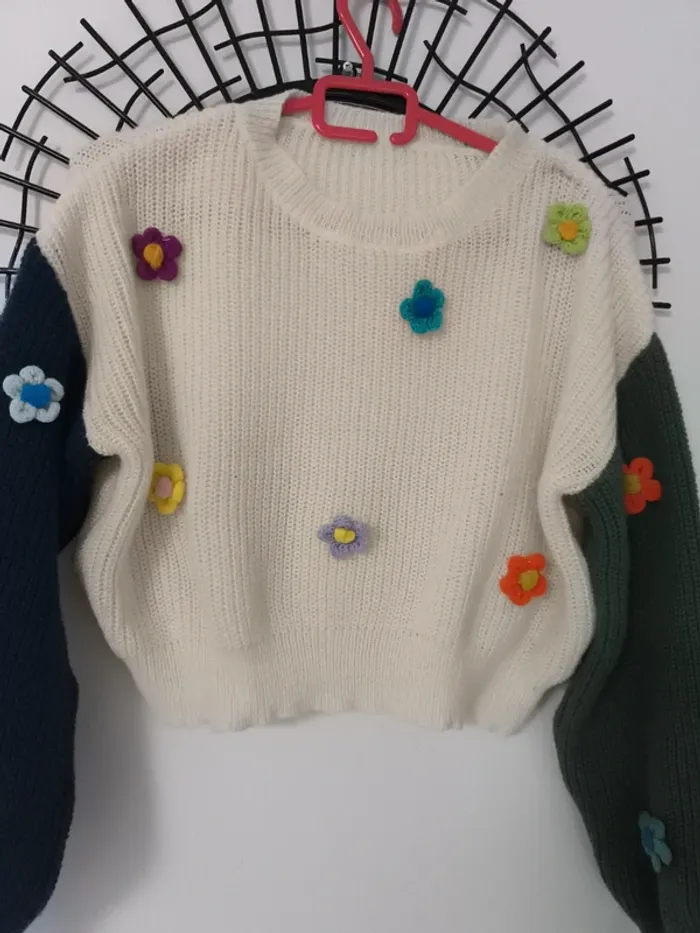 Pull (court) - photo numéro 4