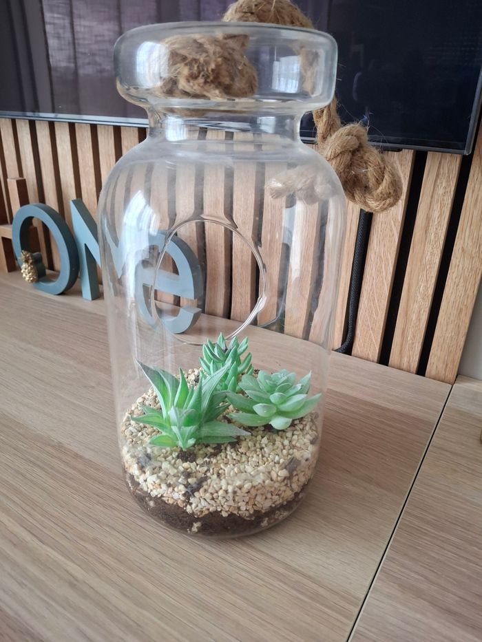Terrarium avec plantes artificielles botanic - photo numéro 2