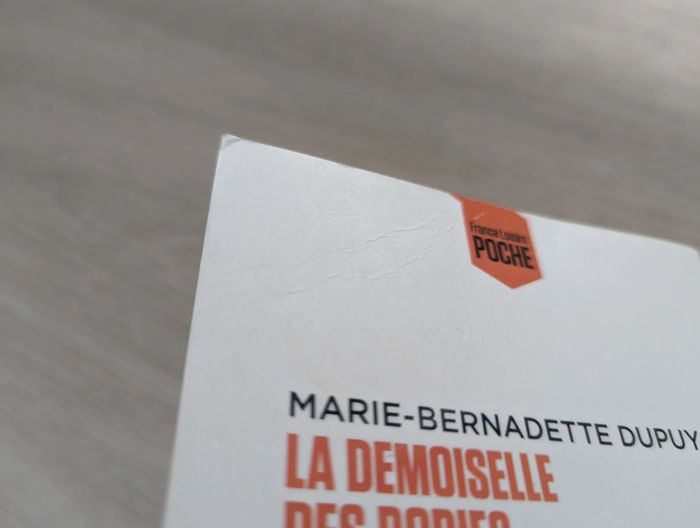 La demoiselle des Bories - Marie Bernadette Dupuy - photo numéro 3