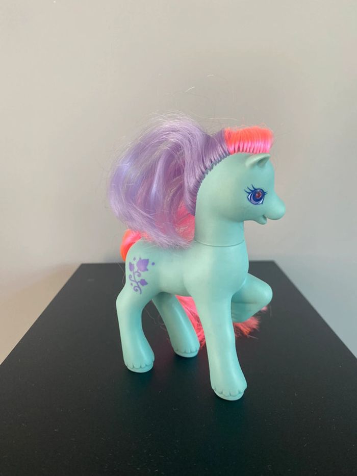 Pony ivy - photo numéro 4