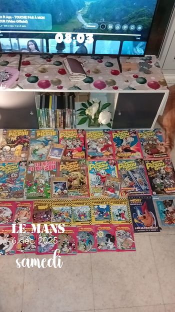 Bande dessinée Picsou