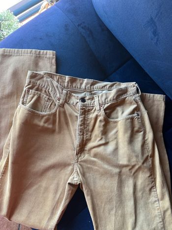Jean velours Levis