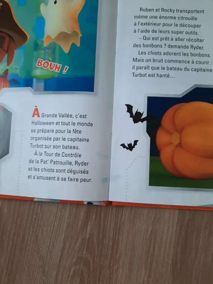 Livre Pat Patrouille - photo numéro 2