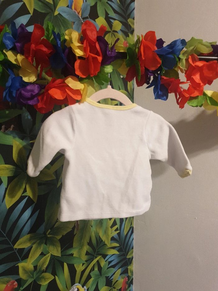 Brassière velours ourson - photo numéro 4