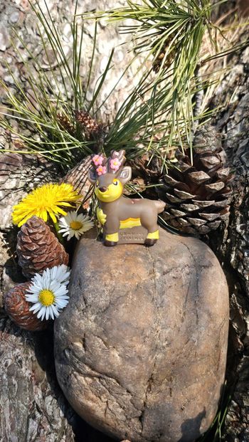 Super figurine Pokemon Nintendo finger puppet haydaim